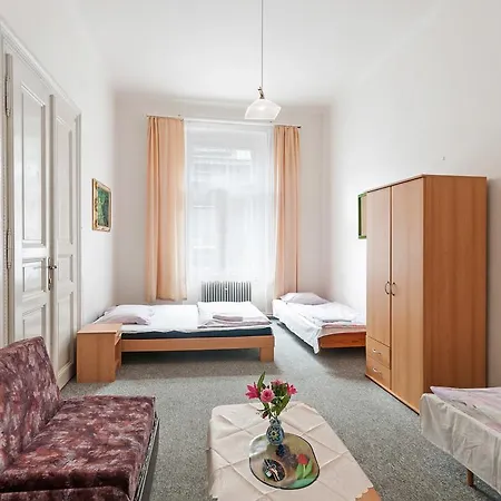 Shelter Hostel
